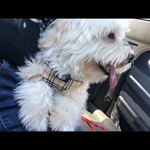 Meet your Posher, Flor